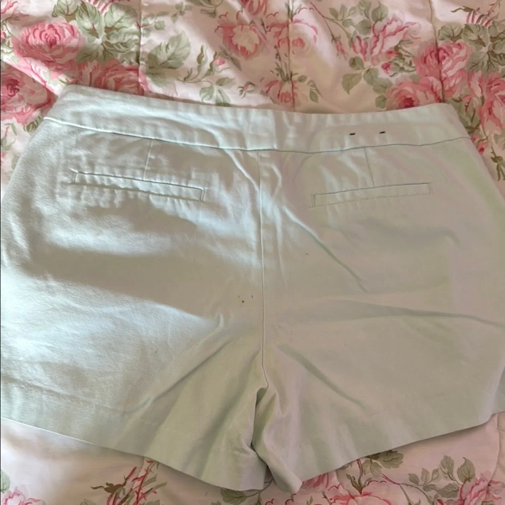 Banana Republic Mint Green Women's Shorts - Picture 2 of 2